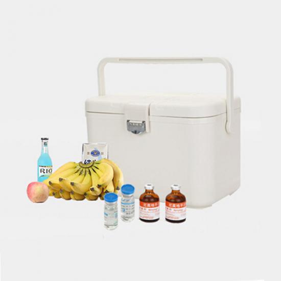 Cooler Box for Blood Sample Transportion